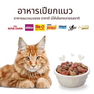 อาหารเปียกแมว