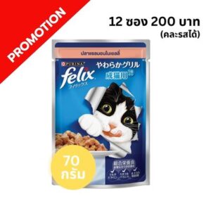 Felix - อาหารเปียกแมว ปลาแซลมอนในเยลลี่ เบอร์ 3