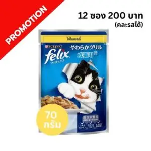 Felix - อาหารเปียกแมว ไก่ในเยลลี่ เบอร์ 6ㅤㅤㅤㅤㅤ