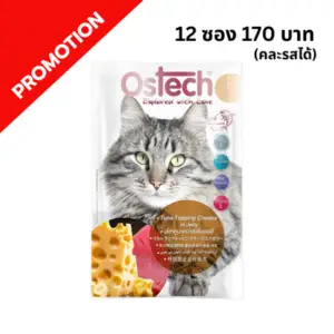 Ostech - อาหารเปียกแมว เบอร์ 1 ทูน่าหน้าชีสในเยลลี่