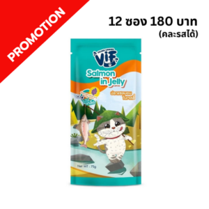 ViF - อาหารเปียกแมว C16 ปลาแซลมอนในเจลลี่