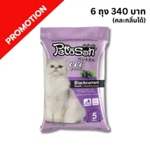 Pattosan ทรายแมว-กลิ่นแบล็คเคอร์แรนท์