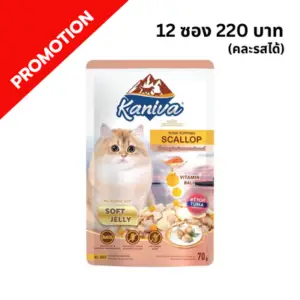 Kaniva - อาหารเปียกแมว ทูน่าหอยเชลล์ในเยลลี่ㅤㅤㅤㅤ