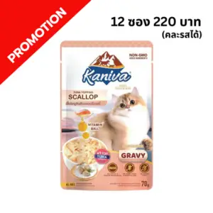 Kaniva - อาหารเปียกแมว ทูน่าหอยเชลล์ในเกรวี่ㅤㅤㅤㅤ