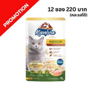 Kaniva - อาหารเปียกแมว ไก่ในเยลลี่ indoorㅤㅤㅤㅤㅤ
