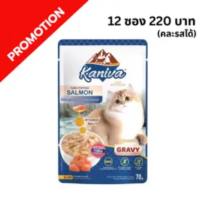Kaniva - อาหารเปียกแมว ทูน่าแซลมอนในเกรวี่